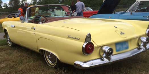 1955 t bird for sale